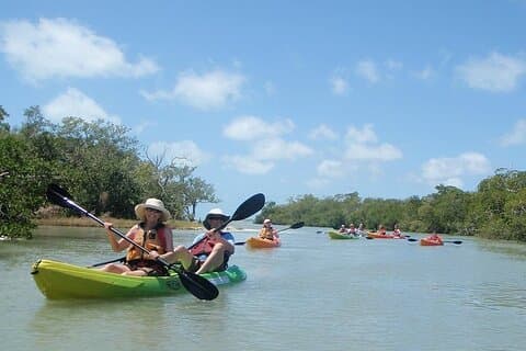 Fort Myers: Bunche Beach Preserve Full Day Kayak or SUP Rental
