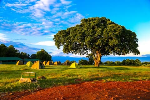 6 dagers privat campingsafari