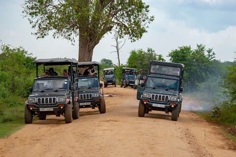 04-daagse Sri Lanka Beach, Wildlife Tour & Colombo stadstour