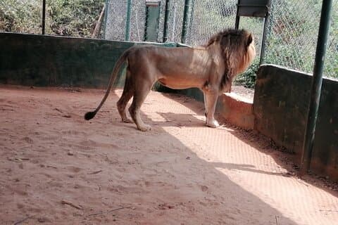 Tour privato dello zoo di Accra, del Canopy Walk e dei giardini botanici