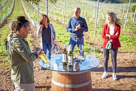 Rías Baixas Winery Tour with Albariño Tasting & Cheese Pairing