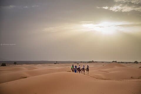 3 Days In Private To The Desert From Fes Finishing In Marrakech
