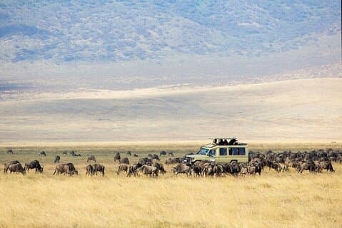Safari de 3 dias para grupos pequenos em Tarangire, Ngorongoro e Manyara Park
