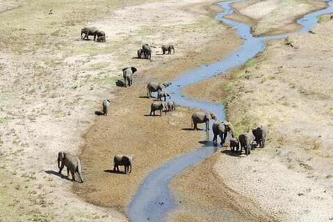 Tarangire National Park Day Trip