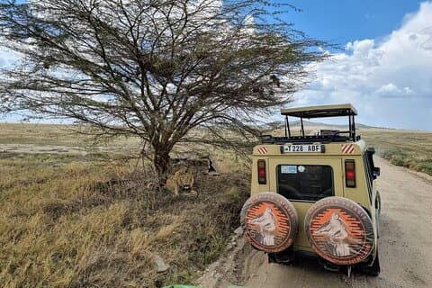6-daagse budgettour in Tarangire, Serengeti, Ngorongoro en Manyara