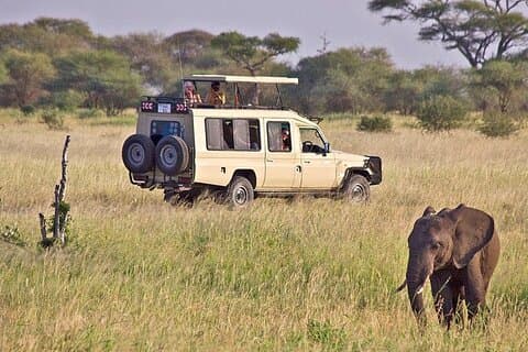 5-daagse privé Serengeti Tour met Lake Manyara Adventure