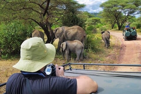 Safari de médio alcance de 4 dias Serengeti, Ngorongoro e Tarangire