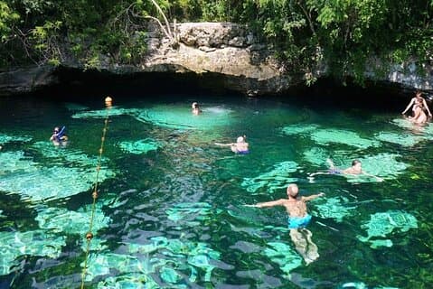 ¡Aventura privada de esnórquel! Arrecife Akumal + Nado en cenote