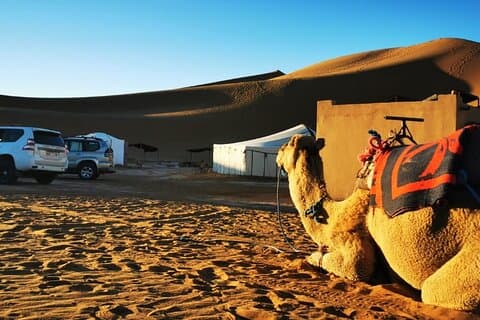 Desert Erg Chigaga-tur fra Marrakech: 3 dage