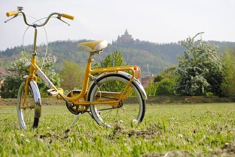 Tour panorámico en bicicleta por Bolonia