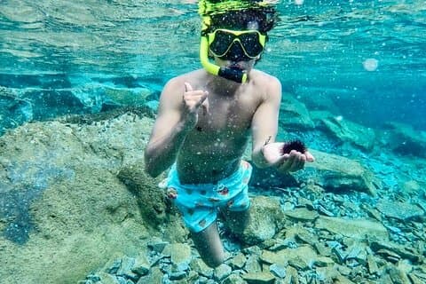 サントリーニ カルデラ デイ トラディショナル クルーズ、お食事とお飲み物付き