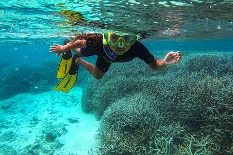 Snorkel, Explore & Discover: The East with blue bay marine park