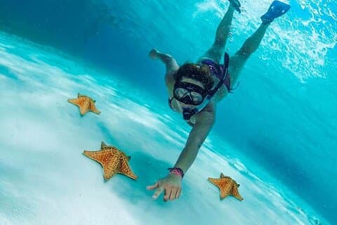 Cielito Cozumel: tour di snorkeling nei Caraibi messicani