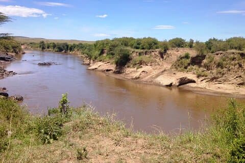 6 días tour privado por Masai Mara, Parque Nacional del Lago Nakuru