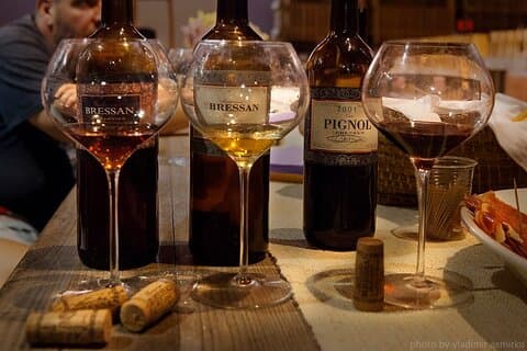 2-Hours Discovering the Autochthonous Friulian Vines with Tasting