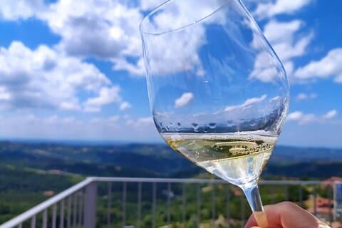 Visite panoramique panoramique avec apéritif