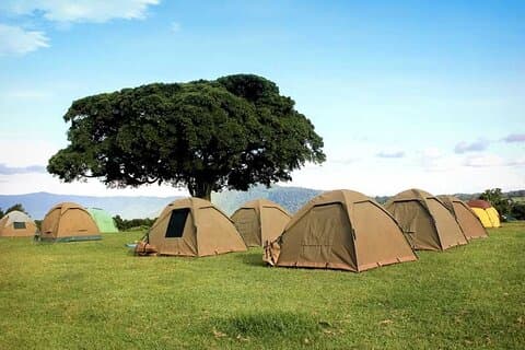 4-tägige Budget Tarangire, Serengeti, Ngorongoro Safari Guided Tour