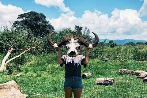3 Tage Tarangire, Lake Manyara und Ngorongoro