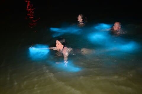 Luminous Lagoon Private Night Tour