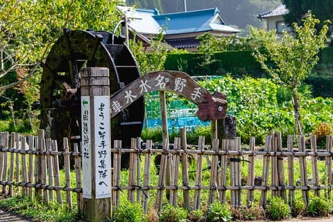 Enjoy a walk, lunch, and tea time at the 2000 years old Teno Farm Village.