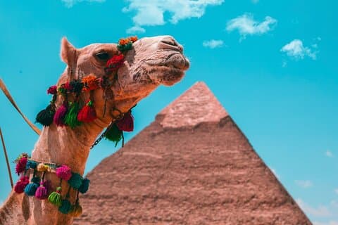 Giza, Nationalmuseet og Khan El Khalili privat dagstur