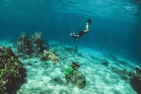Santa Maria and Chileno Bay Snorkel Adventure Los Cabos