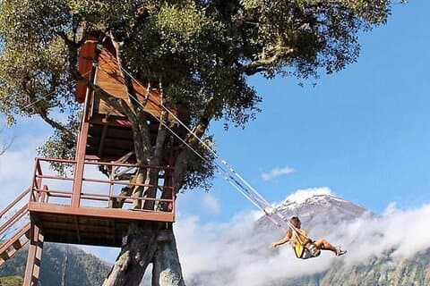 The Tree House Swing of the End of the World