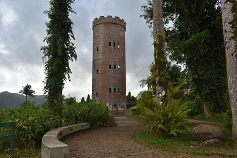 El Yunque Rainforest Guided Day Tour from San Juan