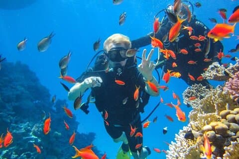 Snorkeling at Ras Mohamed in Sharm El Sheikh