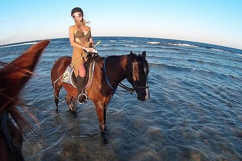 El Gouna Horse Ride Tour
