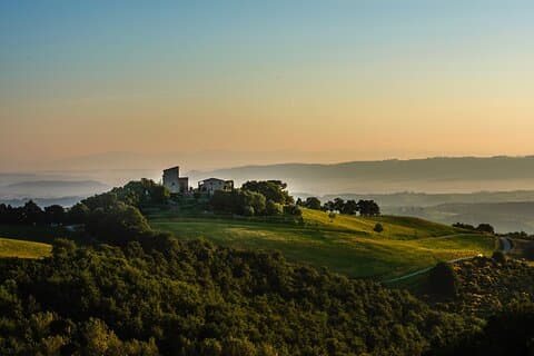 Wine Experience at Torre Bisenzio Winery