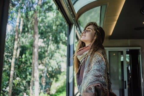 Cusco: Full-Day Tour to Machu Picchu by 360° train