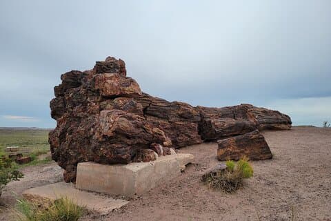 Sedona to Petrified Forest/Painted Desert Adventure PRIVATE TOUR!