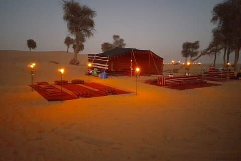 Private setup, Falcon photo , Dinner, Sunset in middle of Desert