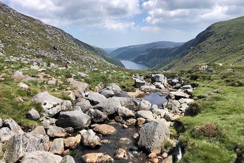 Chaufførdrevet rundvisning i smukke County Wicklow