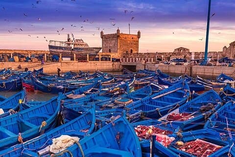 Volledige dagtour naar Essaouira vanuit Marrakech