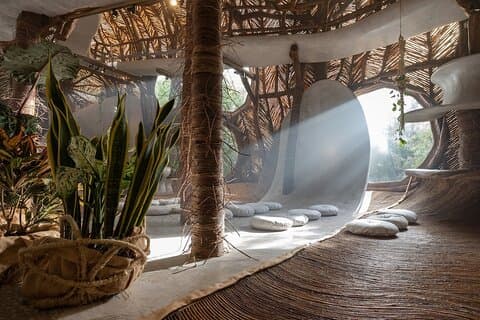 Tour Privado Tulum Plus Museo Azulik & Parque de Esculturas