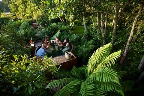 Rotorua Forest Hot Tub Soak at Secret Spot