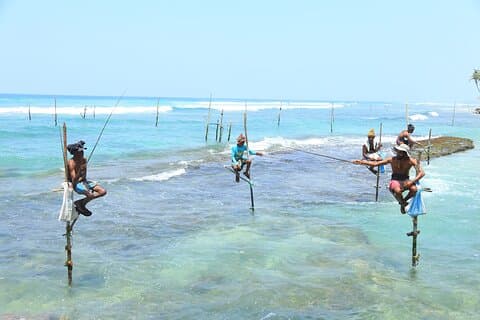 Experiência de pesca de palafitas em Ahangama