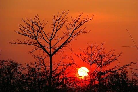 Excursión de 3 días al Parque Nacional Chitwan desde Katmandú en vehículo privado