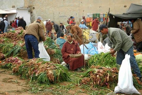 Agafay-Wüste, Atlasgebirge und Kamelritt Tagesausflug von Marrakesch