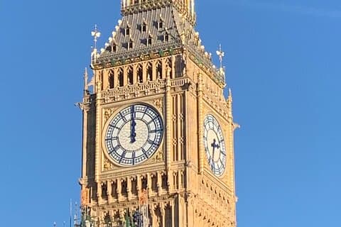 Visite classique de Londres avec un guide privé professionnel