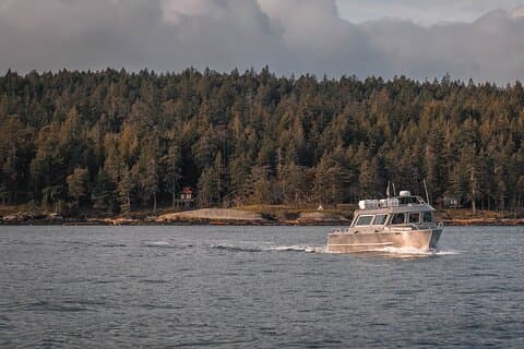Nanaimo Whale Watching i en halvdækket båd