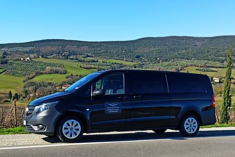 PRIVAT TRANSFER: fra Pisa til Firenze med privat chauffør