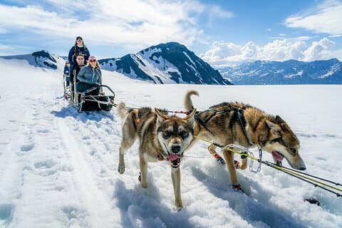 Seward: Helicopter Glacier Dogsled Tour with 2 Landings