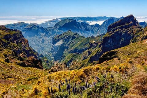 East Madeira Guided Tour with Balcões Levada Walk