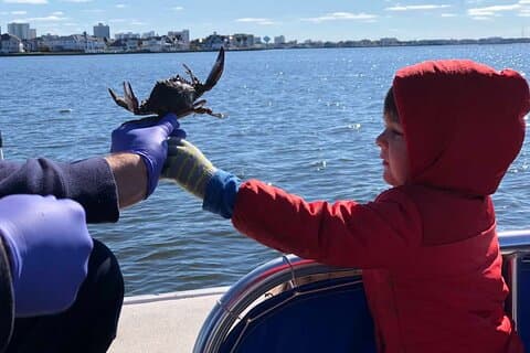 Milieueducatiereis naar Maryland Coastal Bays