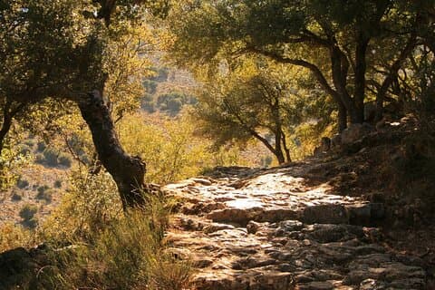 Knossos, Lasithi, Zeus Cave & Olive Mill Farm Combo Tour
