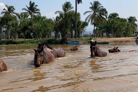 Authentic Sunset Horseback Riding Tour in Puerto Escondido