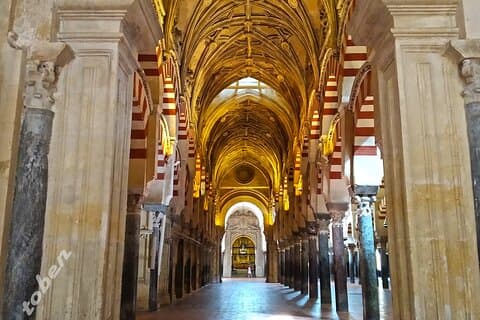 Visite guidée de la mosquée-cathédrale de Cordoue en espagnol